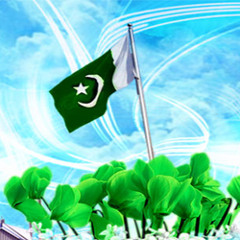 Syed Tauseef hasan
