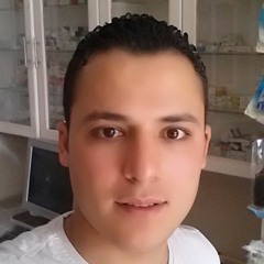 Sameh Ahmed Hefny