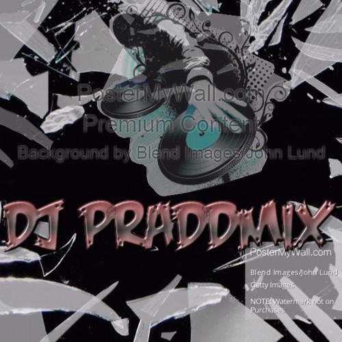 DJ Praddmix’s avatar