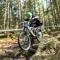 andrew lindsay dh
