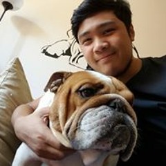 Allan Junior Tavisora