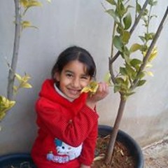 Amneh Titi