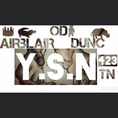 Y.S.N
