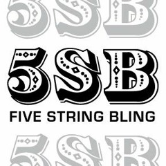5 String Bling