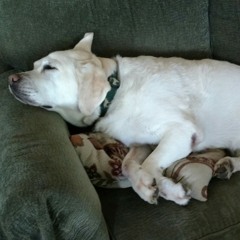 Fade To Black - Sandy