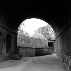 11th House Consortium