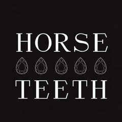 HORSE TEETH