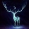 hunterbott16