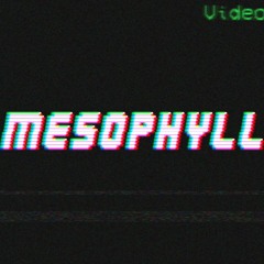 Mesophyll
