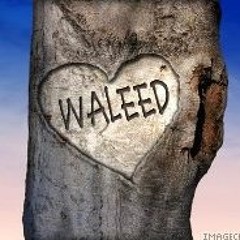Waleed Elnagar