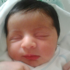 mustapha sadek