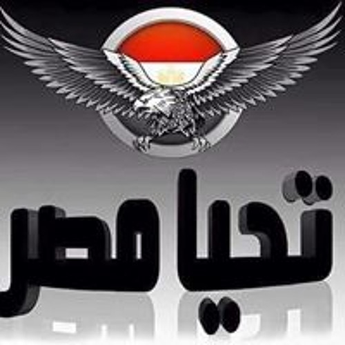 Mohamed Darwish’s avatar