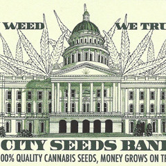CITYSEEDSBANKAMSTERDAM