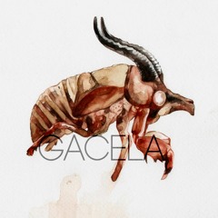 GACELA