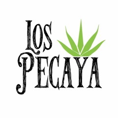 Los Pecaya