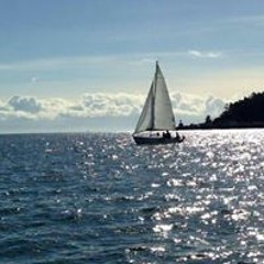 Juniper Cheyenne Sylvan