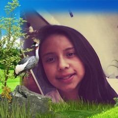 stephany