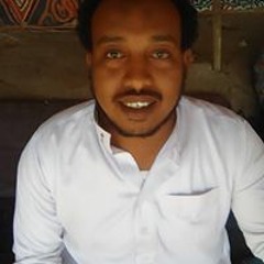 Gasser Muhammad Anwar