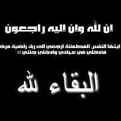 Mohamed Farghly