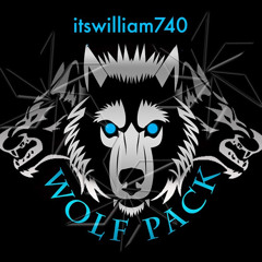 itswilliam 740