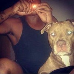 _b_cuzz