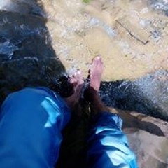 Faizan Nazeer
