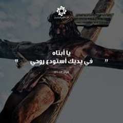 bebo