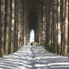 Shari Ludvigson Bohlander