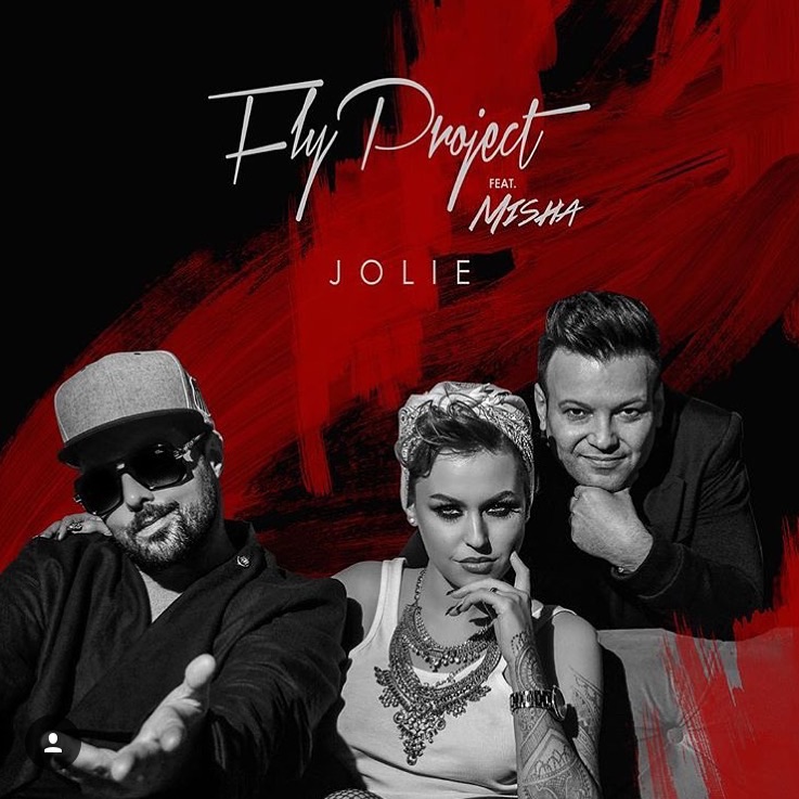 Fly Project