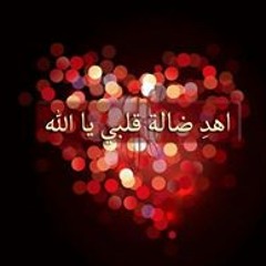 user301145092