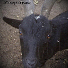 Aleksander Kuliński