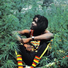 rastafarishad