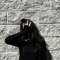 Lalia Rayane