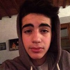 Luca Zizi
