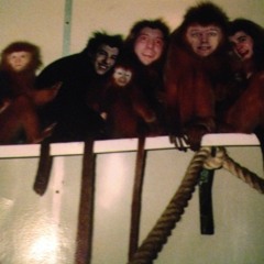 The Sparkling Monkeys