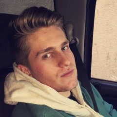 Max Paulsen