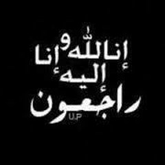 Amir El Hefnawy