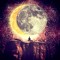 SiddharthaOnTheMoon