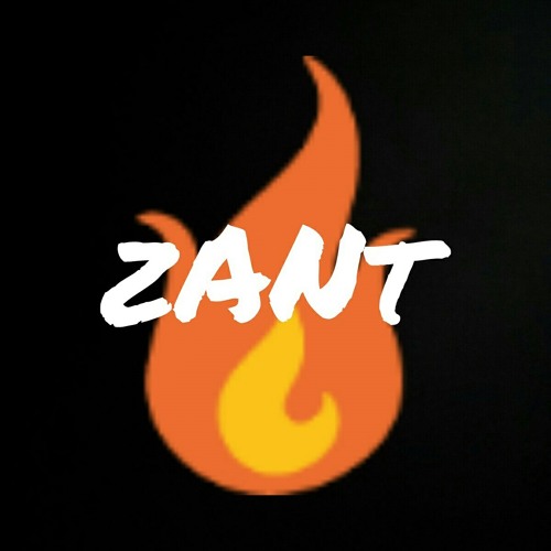 zant’s avatar