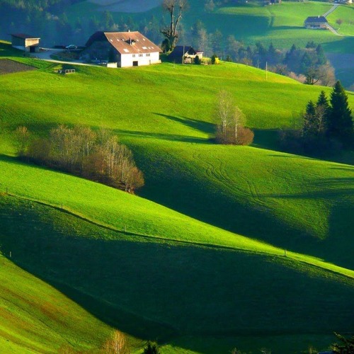 این کیست این