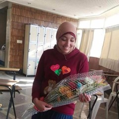 Menna T-allah Gamal
