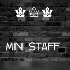 puto pro mini staff