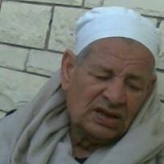 Ahmed Elsheata