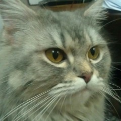 Merna