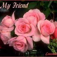 Hany Mostafa