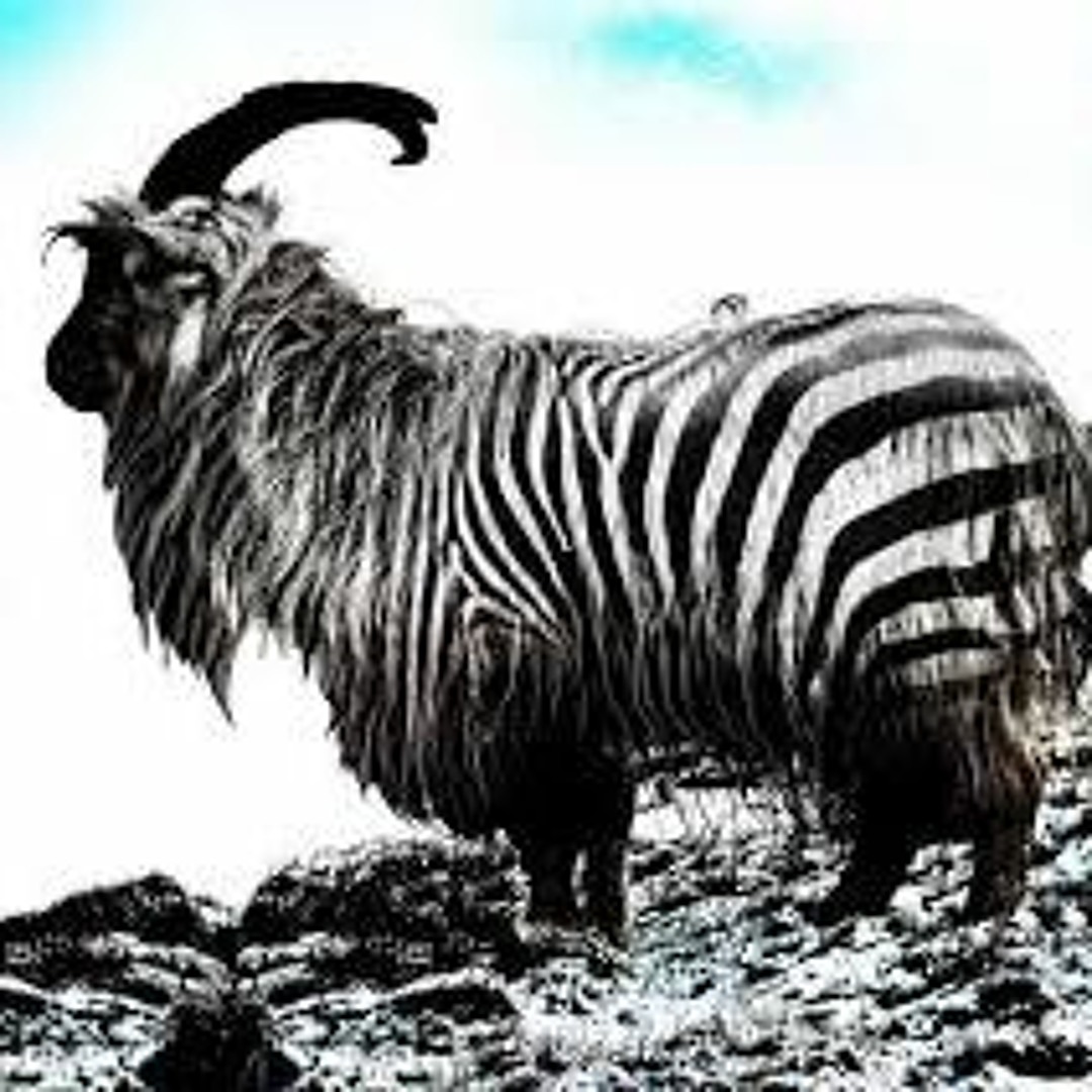 Stream GOat Zebra!! music | Listen to songs, albums, playlists for