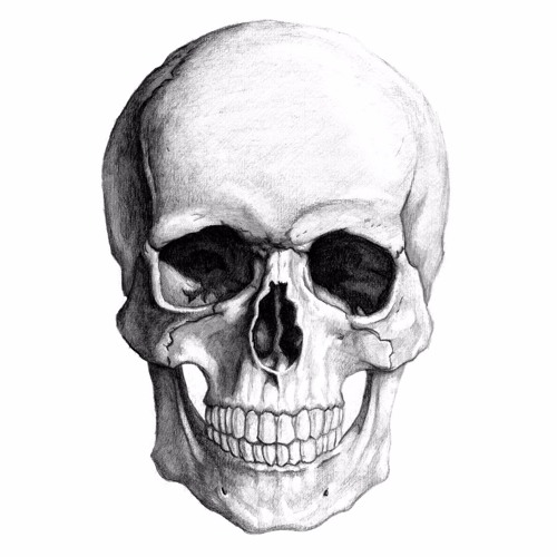 Skull Holder’s avatar