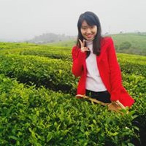 Nguyen Thuy Anh’s avatar