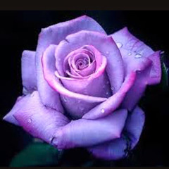 user358164624
