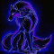 kittin2255